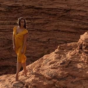 Meet your Posher, Tiger